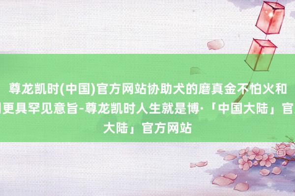 尊龙凯时(中国)官方网站协助犬的磨真金不怕火和成长则更具罕见意旨-尊龙凯时人生就是博·「中国大陆」官方网站