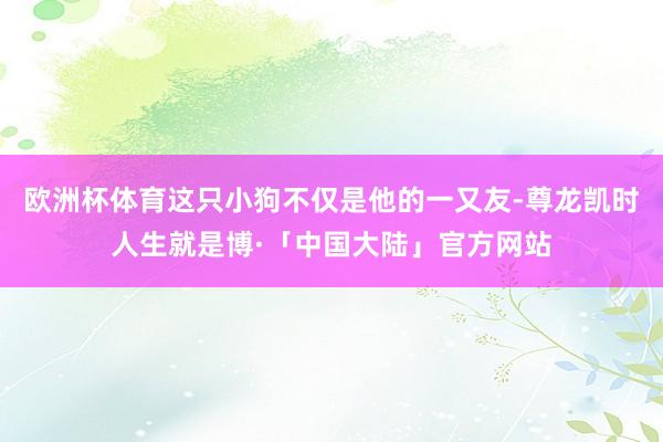 欧洲杯体育这只小狗不仅是他的一又友-尊龙凯时人生就是博·「中国大陆」官方网站