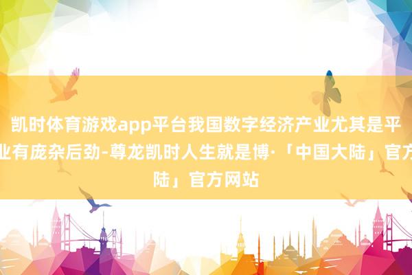 凯时体育游戏app平台我国数字经济产业尤其是平台企业有庞杂后劲-尊龙凯时人生就是博·「中国大陆」官方网站