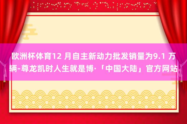 欧洲杯体育12 月自主新动力批发销量为9.1 万辆-尊龙凯时人生就是博·「中国大陆」官方网站