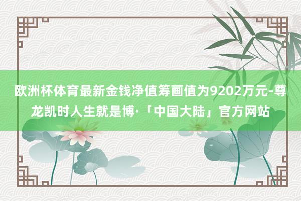 欧洲杯体育最新金钱净值筹画值为9202万元-尊龙凯时人生就是博·「中国大陆」官方网站